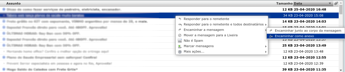 Cabecalhos webmail 2.png